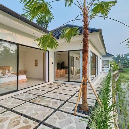 Newly! 3Bdr Modern Villa Close To Ubud Center Buitenkant foto